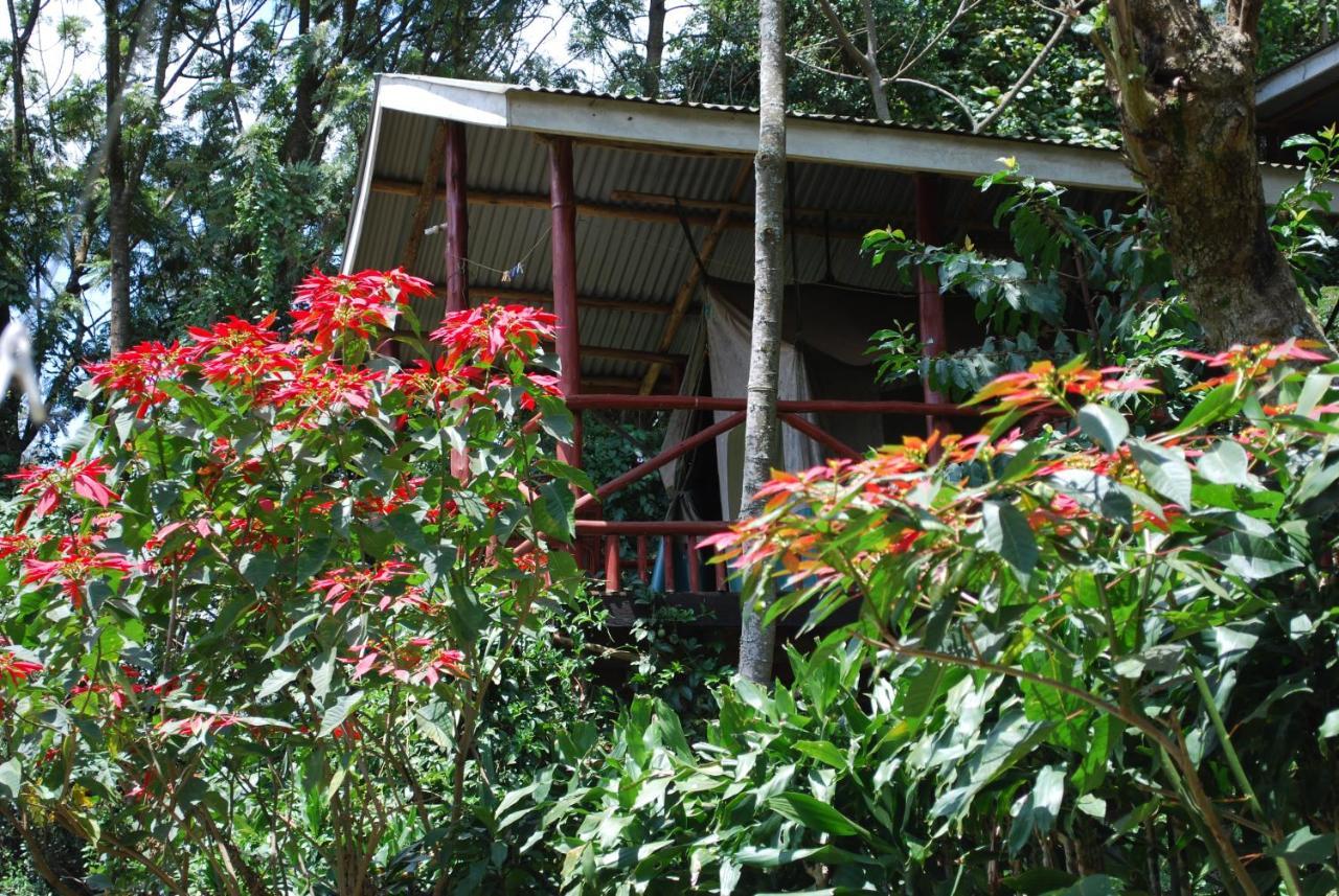 Crater Bay Cottages Kabale Екстер'єр фото